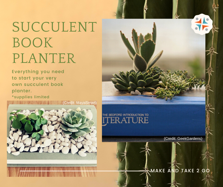 Succulent Book Planter. Everything you need to start your own succulent book planter. *Supplies limited