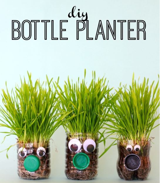 DIY Bottle Planter
