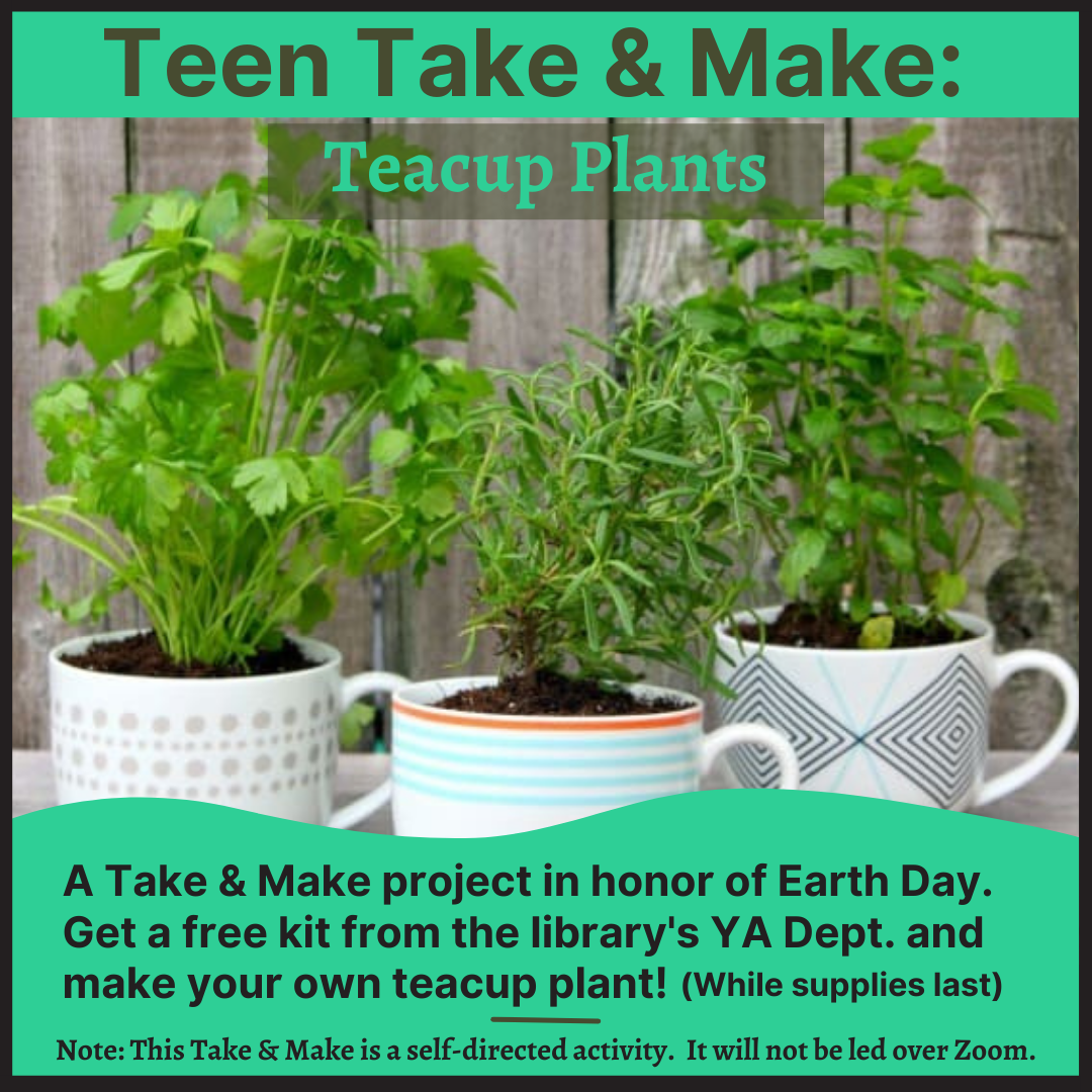 Teen Take & Make - Teacup Plants