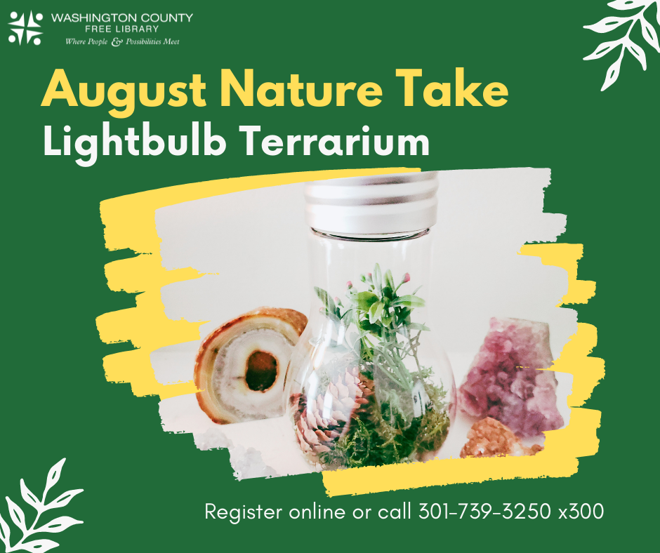 August Nature Take Lightbulb Terrarium