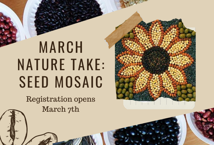 Background: Bowls of seeds of assorted colors. Brown text on left: March Nature Take Seed Mosaic Registration Opens March 7th. Image on right shows seed mosaic of  yellow sunflower.