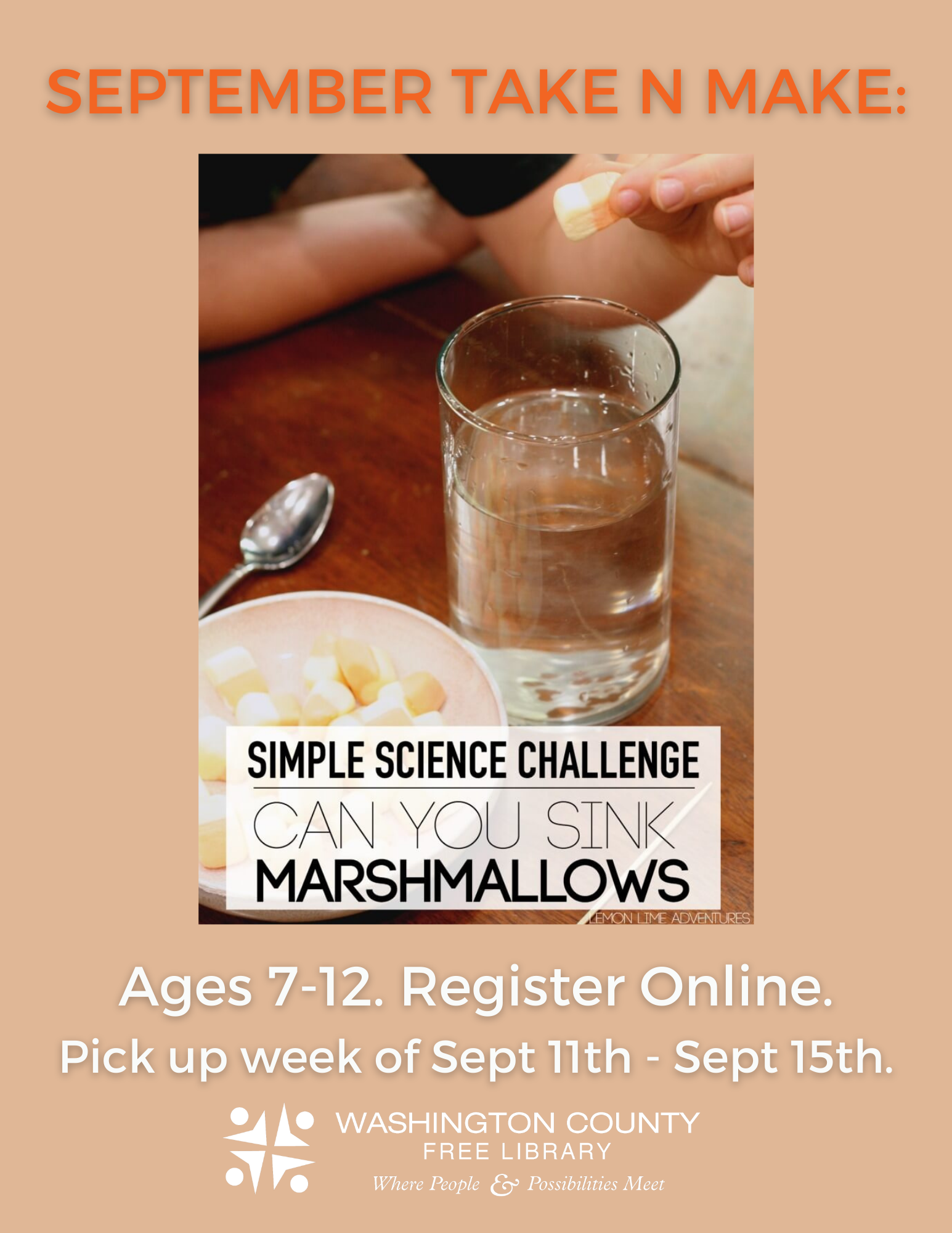 Take N Make Stem Project: Can You Sink Marshmallows?