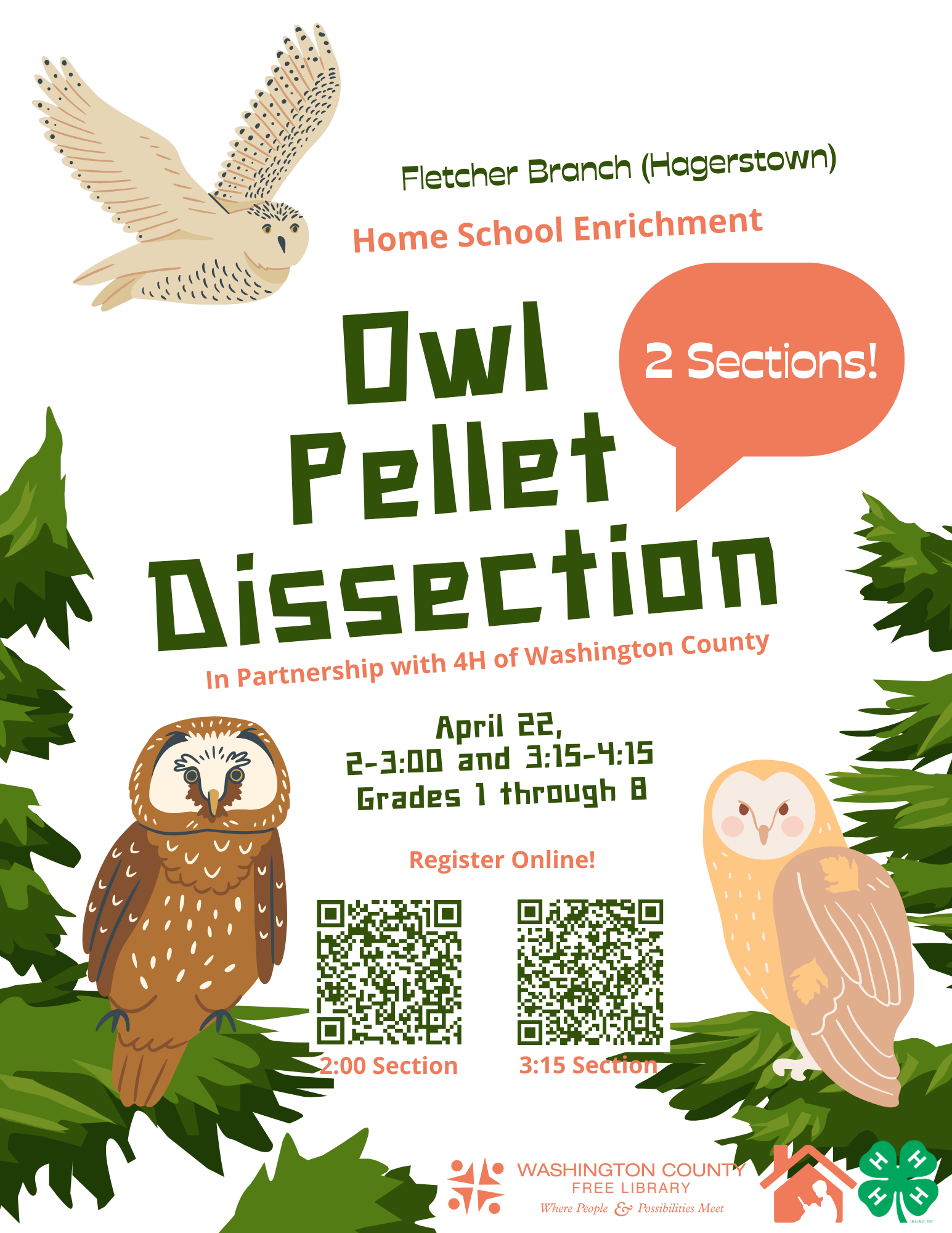 Owls swoop in from the corners of the page and settle among evergreen branches in the lower left and right corners, staring down the viewer. The flyer reads: "Fletcher Branch (Hagerstown) Home School Enrichment Class: Owl Pellet Dissection, in Partnership with 4H of Washington County. April 22nd, 3:15 to 4:15, Grades 1 through 8. Register online!" There is a QR code to scan and register for the class. 