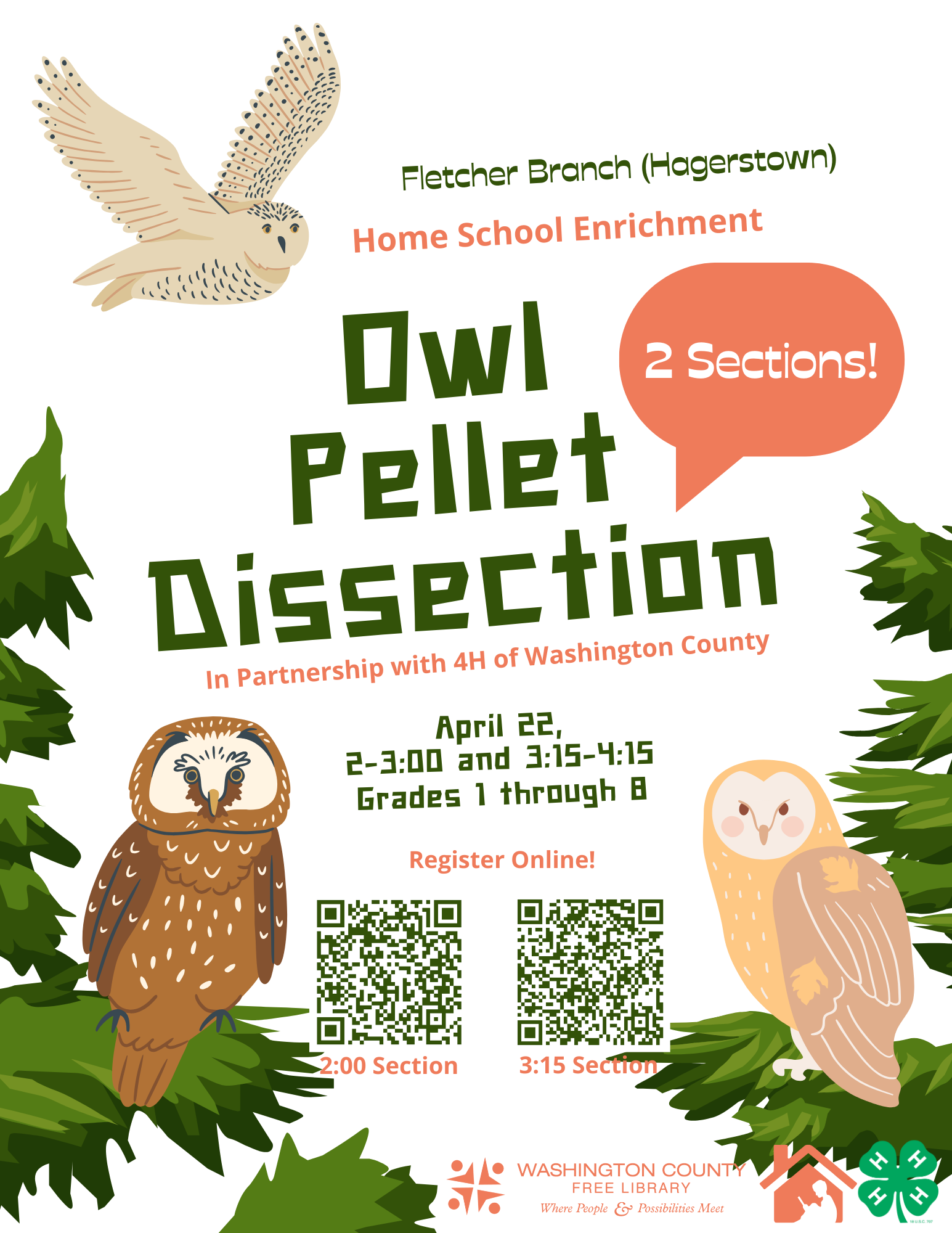 Home School Enrichment: Owl Pellets (hag) 