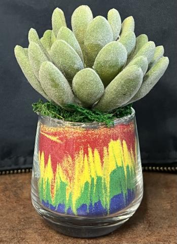 Small glass cup with sand art and artificial succulent