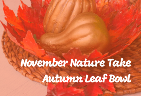 November Nature Take Autumn Leaf Bowl