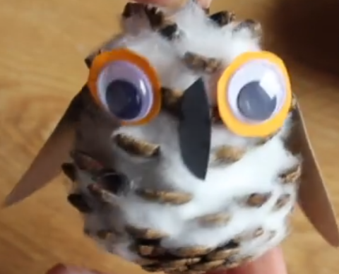 Pinecone Owl