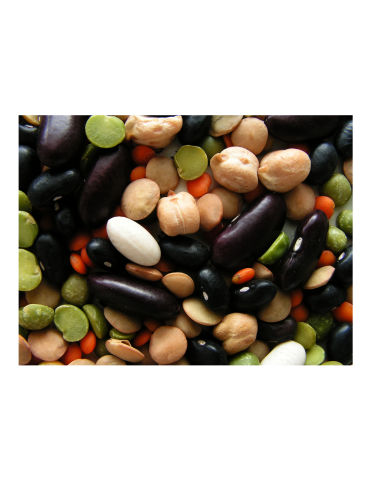 Seeds