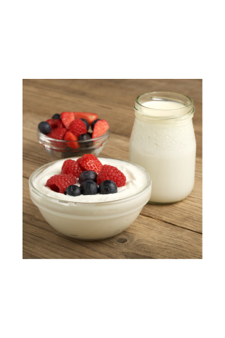 Yogurt