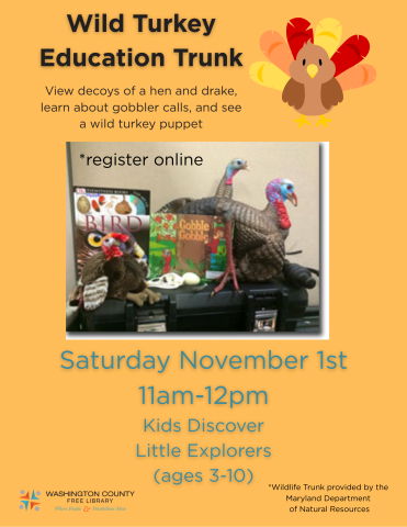 Kids Discover/Little Explorers STEM: Wild Turkeys