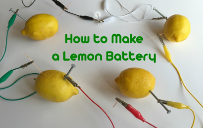 Lemon Battery Picture