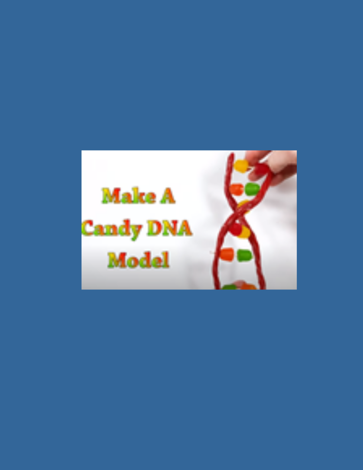 Candy DNA Model