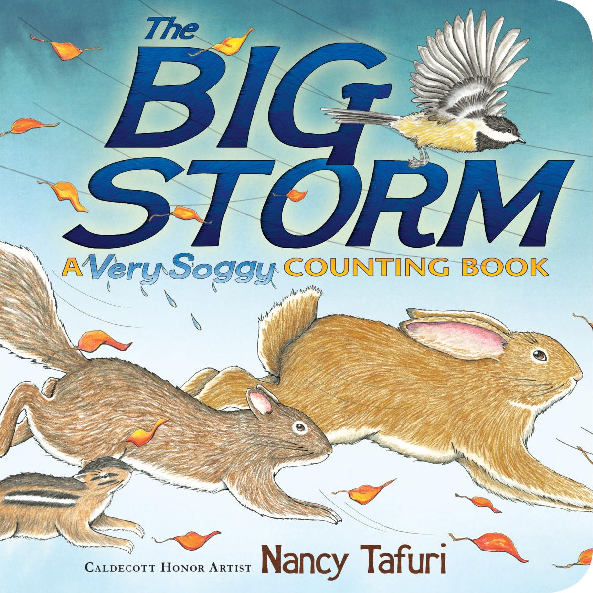 The Big Storm book cover