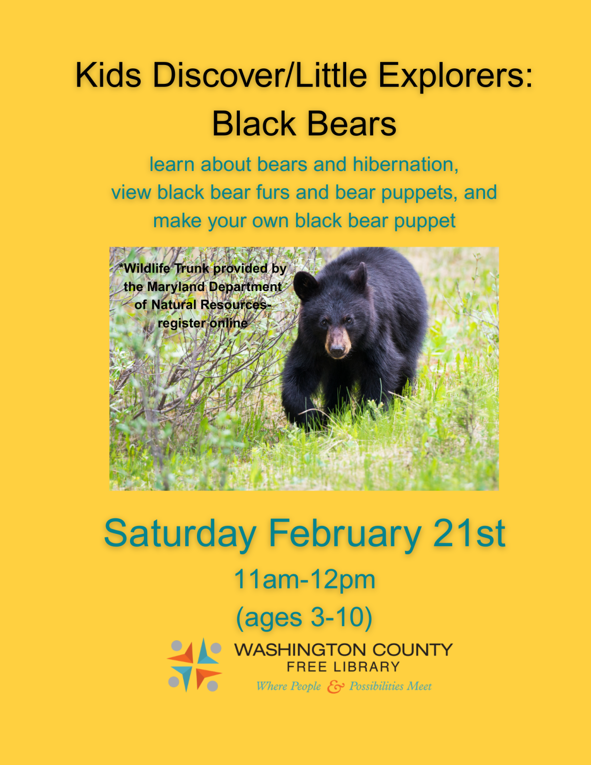 Kids Discover/Little Explorers: Black Bears Trunk